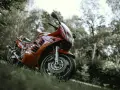 Czerwony motocykl Suzuki RF 900 na trawie. Warto sprawdzić suzuki rf 900 dane techniczne przed zakupem.