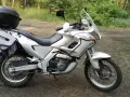 Srebrny motocykl Aprilia Pegaso 650 z kufrem i sakwami, gotowy na przygodę w lesie.