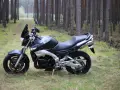 Suzuki GSR 600 dane techniczne: czarny motocykl stoi na leśnej ścieżce, otoczony sosnami.