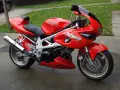 Czerwony motocykl Suzuki TL1000 z napisem "V-TWIN SUPER SPORT" na owiewce, zaparkowany na mokrej nawierzchni obok trawnika.