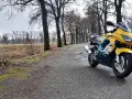 Żółto-niebieska Honda CBR F4 zaparkowana na mokrej drodze wśród drzew.