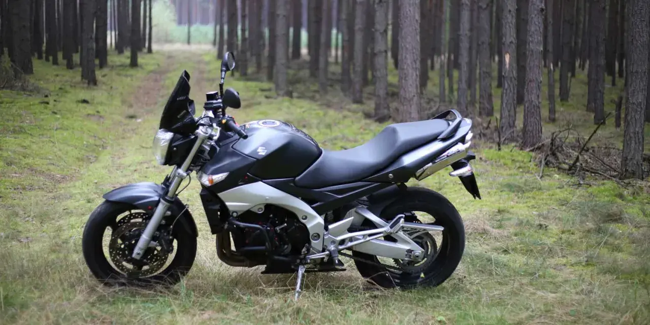 Suzuki GSR 600 dane techniczne: czarny motocykl stoi na leśnej ścieżce, otoczony sosnami.