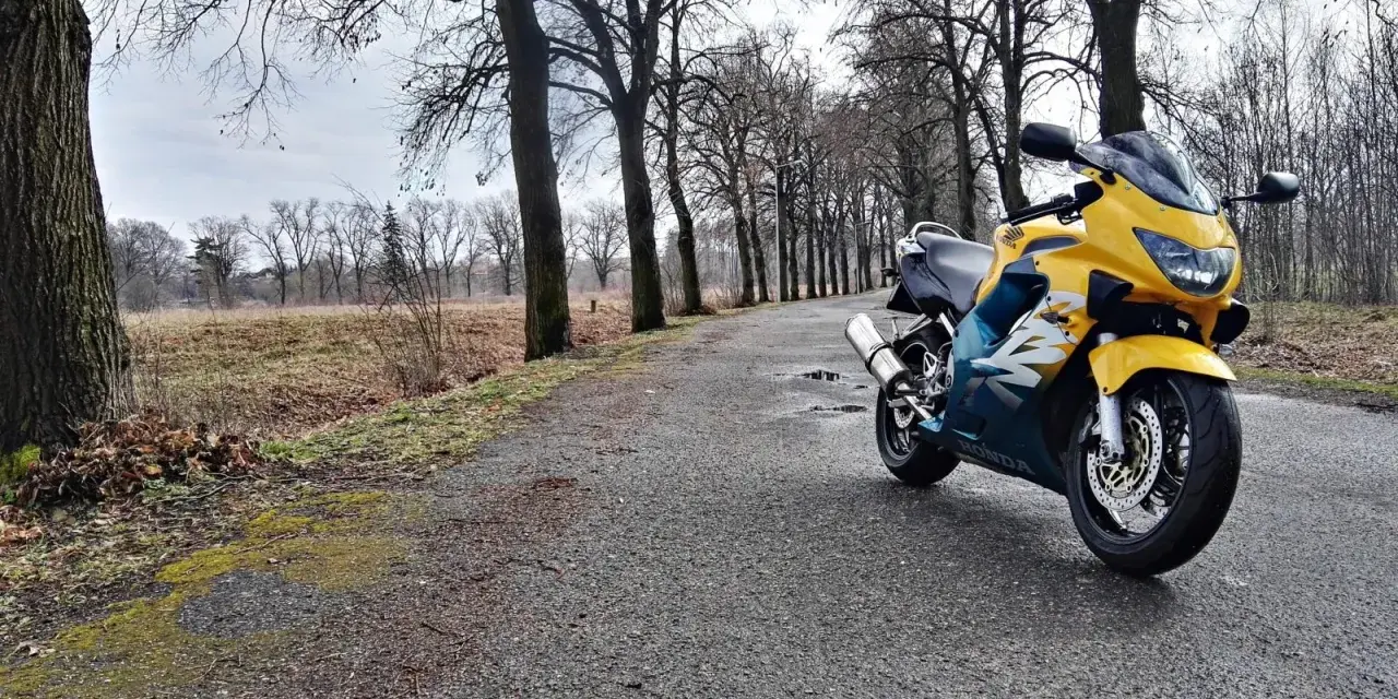 Żółto-niebieska Honda CBR F4 zaparkowana na mokrej drodze wśród drzew.