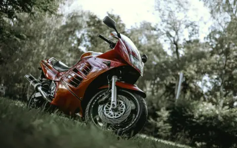 Czerwony motocykl Suzuki RF 900 na trawie. Warto sprawdzić suzuki rf 900 dane techniczne przed zakupem.