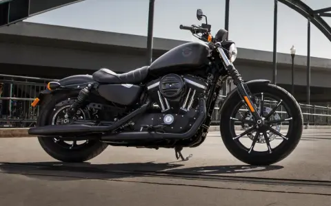 Czarny motocykl Harley-Davidson Sportster 883 na moście.