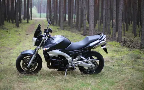 Suzuki GSR 600 dane techniczne: czarny motocykl stoi na leśnej ścieżce, otoczony sosnami.