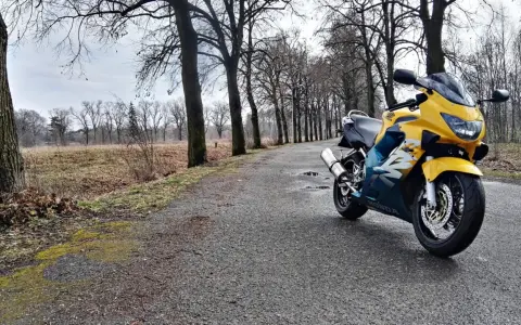 Żółto-niebieska Honda CBR F4 zaparkowana na mokrej drodze wśród drzew.