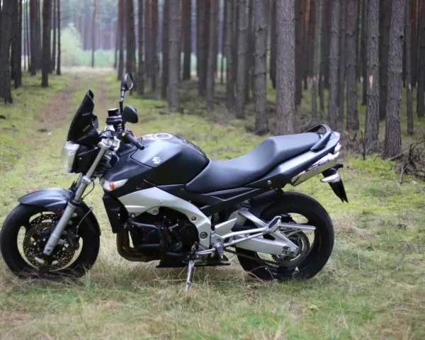 Suzuki GSR 600 dane techniczne: czarny motocykl stoi na leśnej ścieżce, otoczony sosnami.