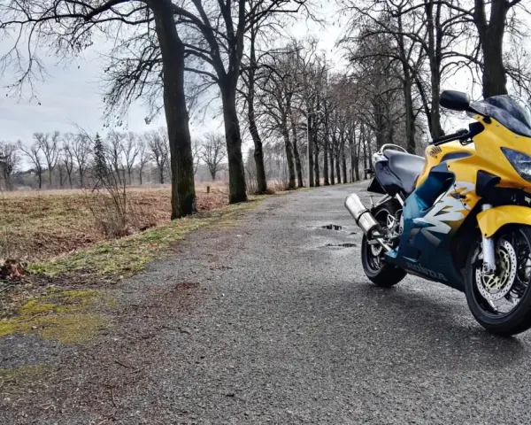 Żółto-niebieska Honda CBR F4 zaparkowana na mokrej drodze wśród drzew.