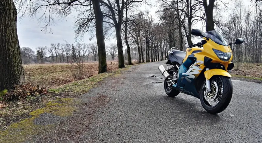 Żółto-niebieska Honda CBR F4 zaparkowana na mokrej drodze wśród drzew.