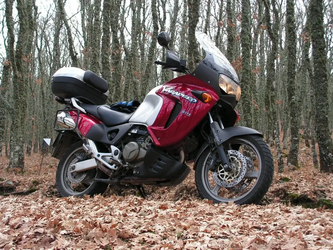 Czerwony motocykl Honda Varadero 1000 w lesie, wśród opadłych liści. Dane techniczne tego modelu są imponujące.