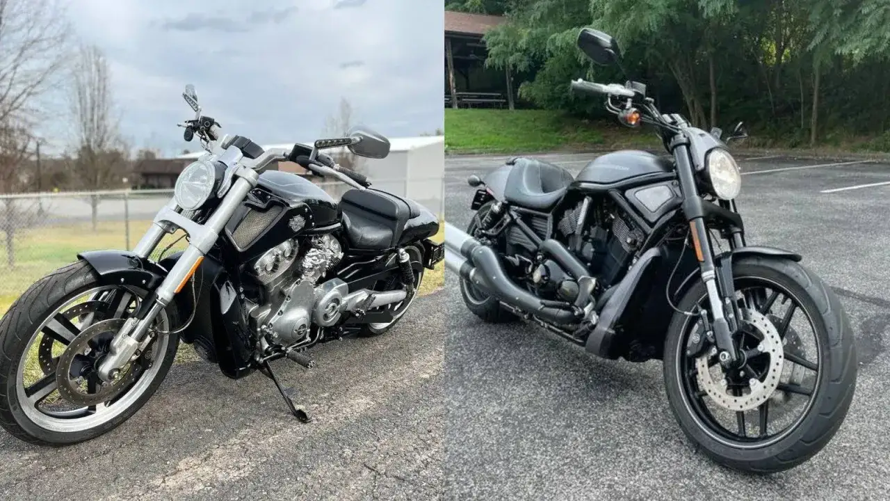 Dwa czarne motocykle Harley Davidson V Rod Night Rod stojące na asfalcie. Jeden z błyszczącymi elementami, drugi w matowej czerni.