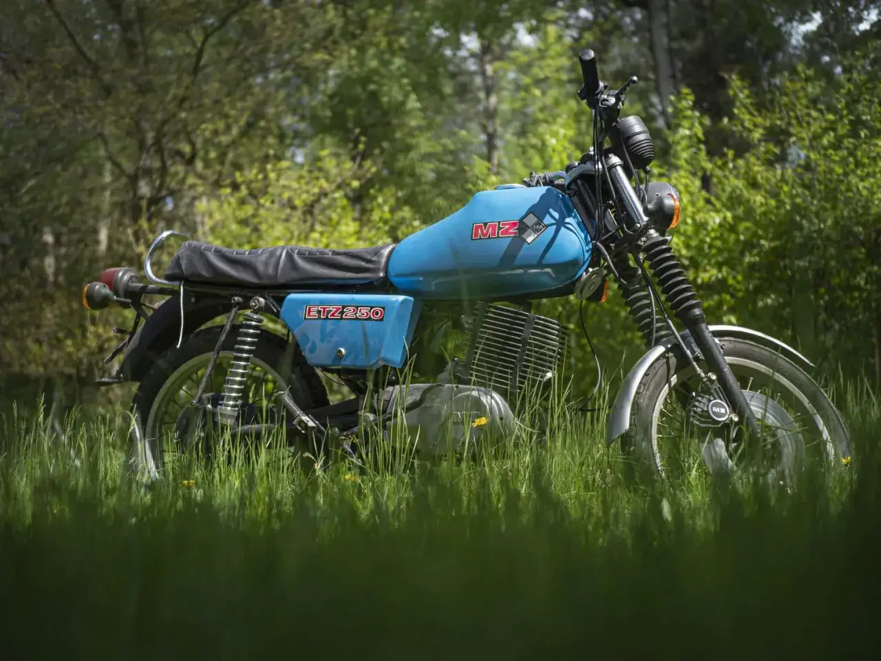 Niebieski MZ ETZ 250 w trawie. Poznaj dane techniczne tego klasyka.